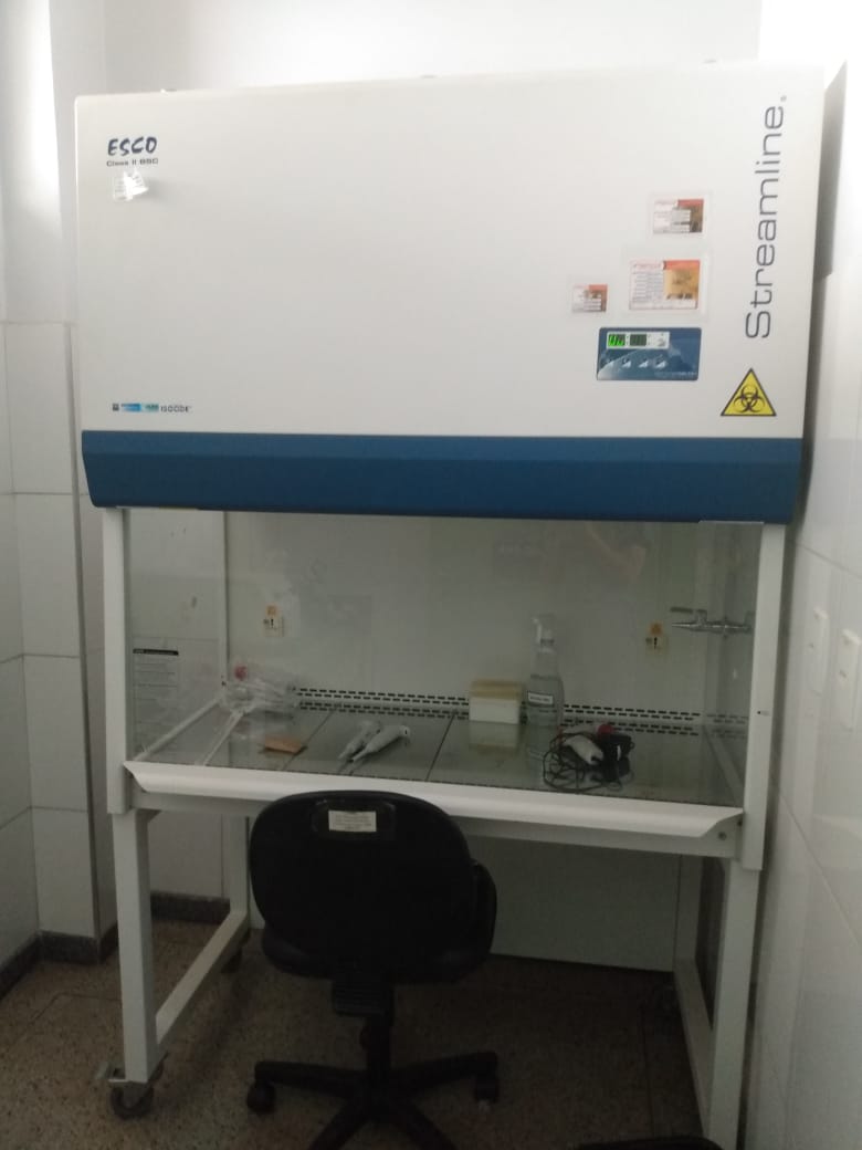 CSB_ClasseIIA2.jpg