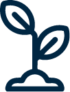 Registro de Cultivar